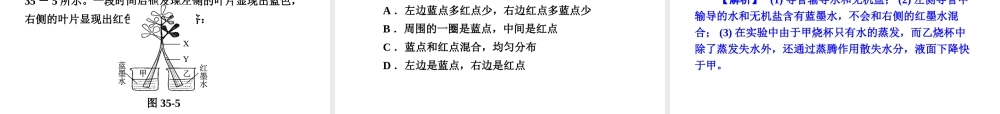 【全效学习 中考学练测】2014中考科学总复习 第35课时 土壤（考点管理+归类探究+易错警示+限时集训）课件 新人教版