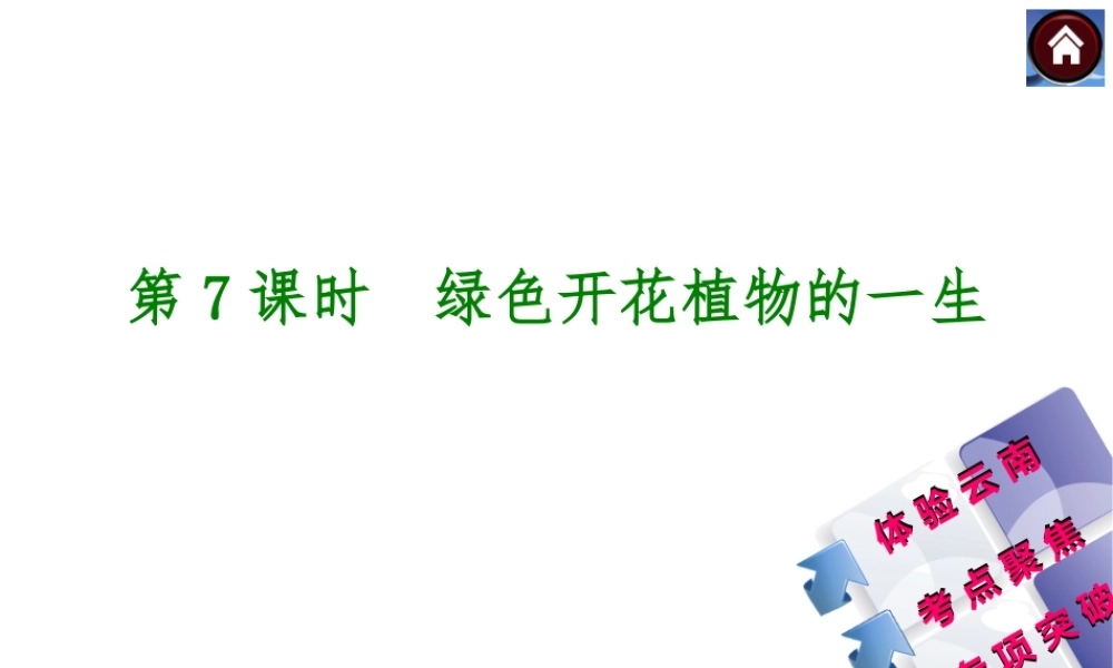 【中考复习方案】（云南）2015中考生物总复习 第7课时 绿色开花植物的一生课件（体验云南+考点聚焦+专项突破）