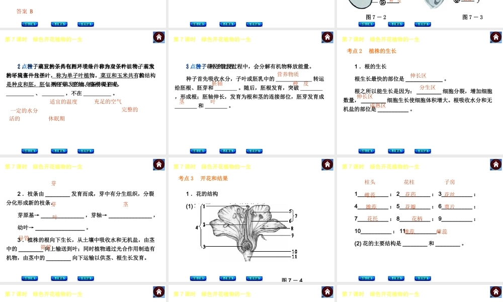 【中考复习方案】（云南）2015中考生物总复习 第7课时 绿色开花植物的一生课件（体验云南+考点聚焦+专项突破）