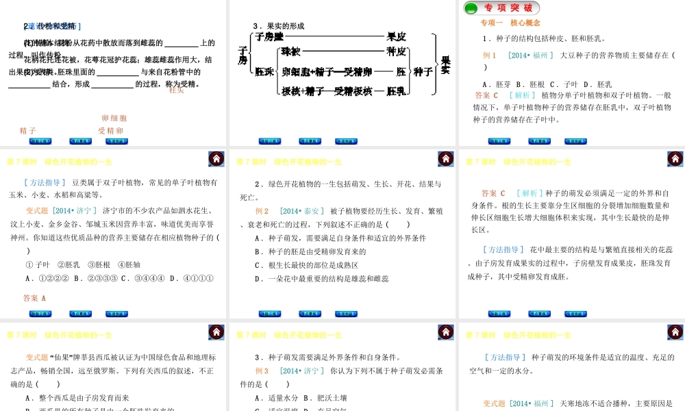 【中考复习方案】（云南）2015中考生物总复习 第7课时 绿色开花植物的一生课件（体验云南+考点聚焦+专项突破）