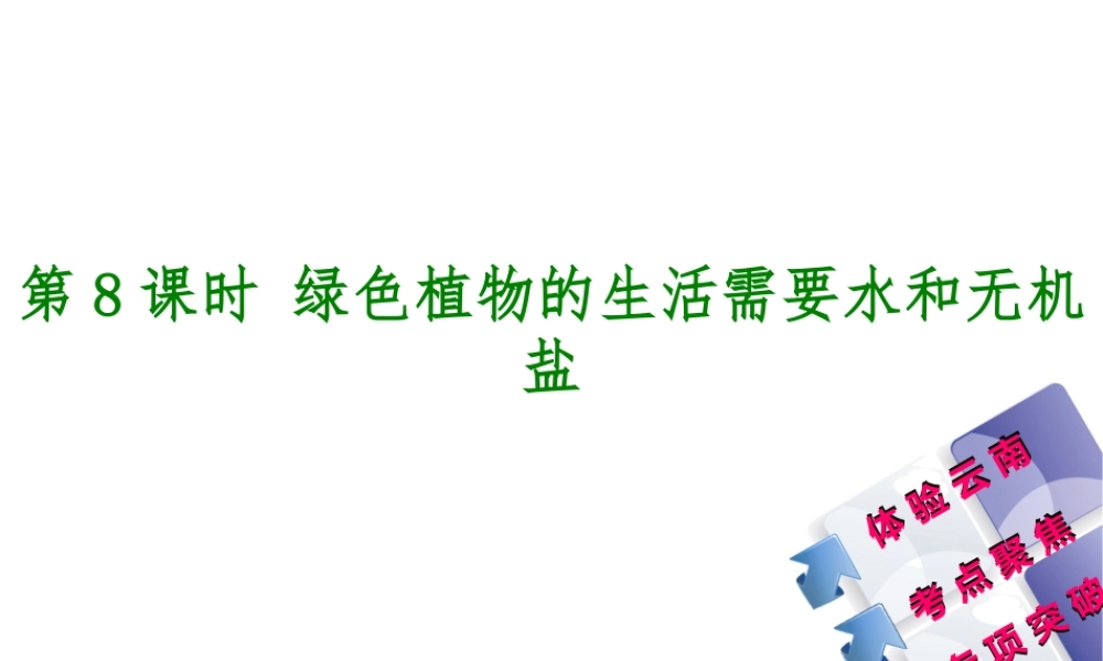 【中考复习方案】（云南）2015中考生物总复习 第8课时 绿色植物的生活需要水和无机盐课件（体验云南+考点聚焦+专项突破）