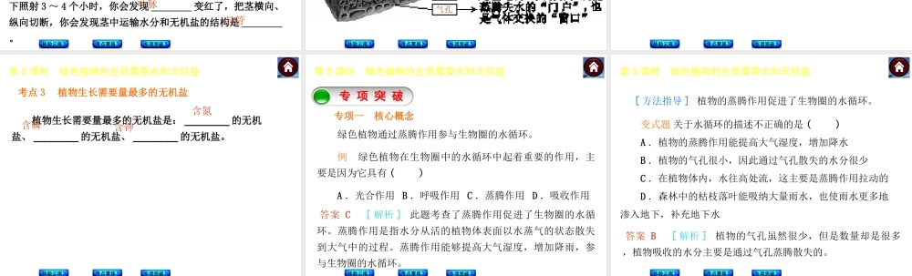 【中考复习方案】（云南）2015中考生物总复习 第8课时 绿色植物的生活需要水和无机盐课件（体验云南+考点聚焦+专项突破）