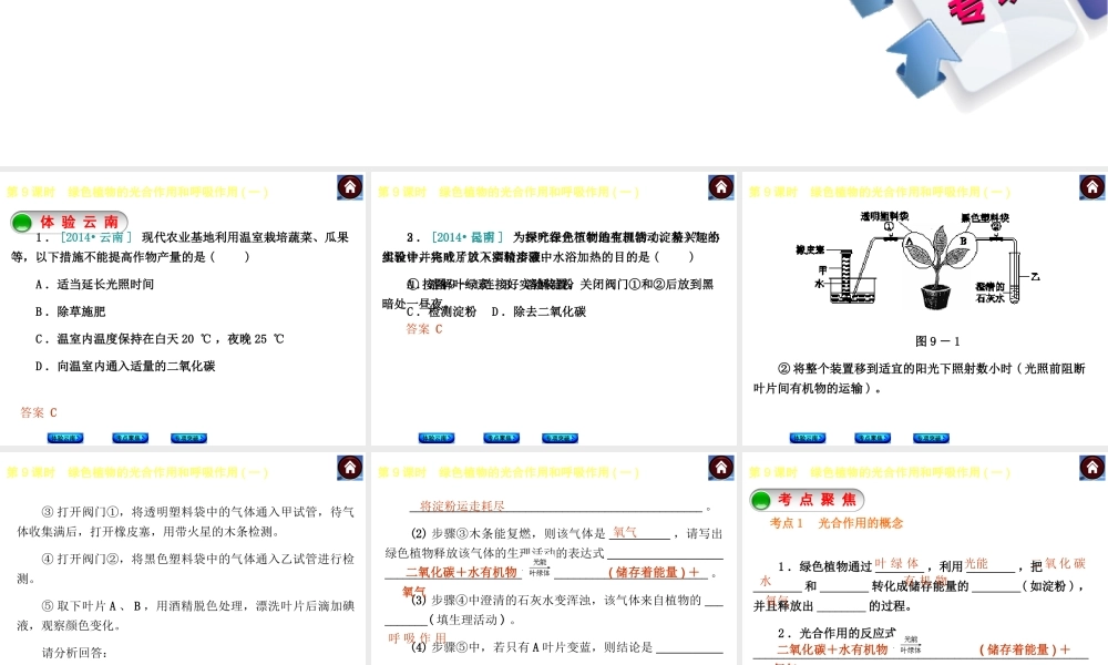 【中考复习方案】（云南）2015中考生物总复习 第9课时 绿色植物的光合作用和呼吸作用一课件（体验云南+考点聚焦+专项突破）