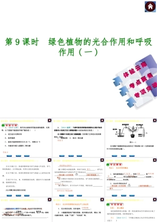 【中考复习方案】（云南）2015中考生物总复习 第9课时 绿色植物的光合作用和呼吸作用一课件（体验云南+考点聚焦+专项突破）
