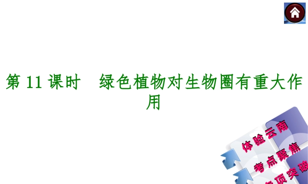 【中考复习方案】（云南）2015中考生物总复习 第11课时 绿色植物对生物圈有重大作用课件（体验云南+考点聚焦+专项突破）