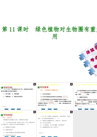 【中考复习方案】（云南）2015中考生物总复习 第11课时 绿色植物对生物圈有重大作用课件（体验云南+考点聚焦+专项突破）