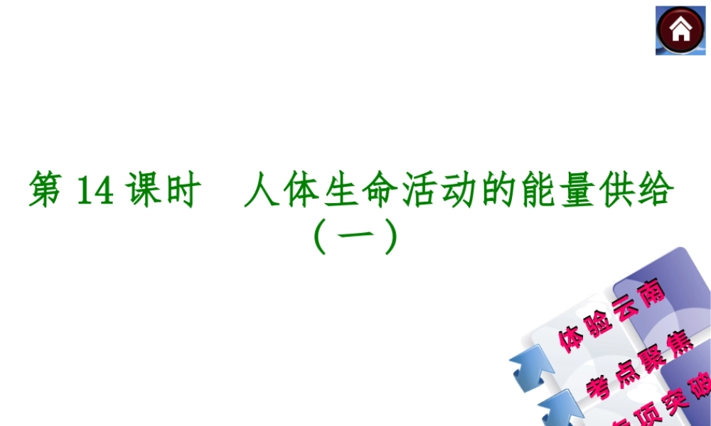 【中考复习方案】（云南）2015中考生物总复习 第14课时 人体生命活动的能量供给一课件（体验云南+考点聚焦+专项突破）