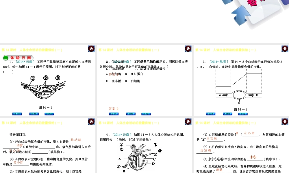 【中考复习方案】（云南）2015中考生物总复习 第14课时 人体生命活动的能量供给一课件（体验云南+考点聚焦+专项突破）