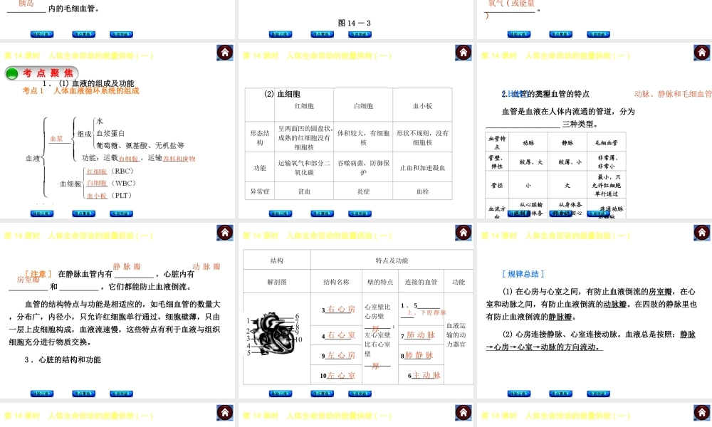 【中考复习方案】（云南）2015中考生物总复习 第14课时 人体生命活动的能量供给一课件（体验云南+考点聚焦+专项突破）