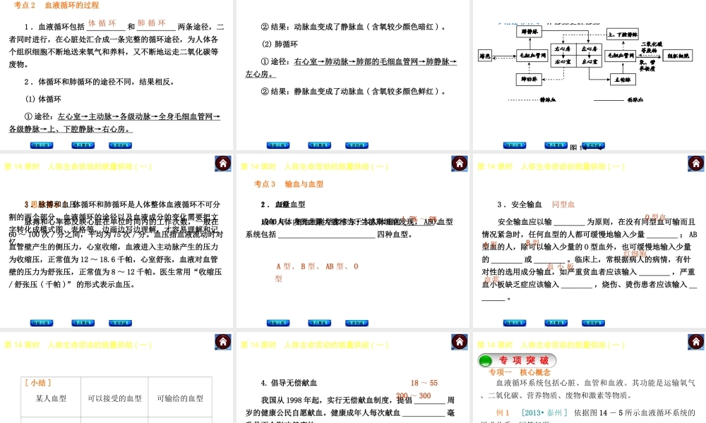 【中考复习方案】（云南）2015中考生物总复习 第14课时 人体生命活动的能量供给一课件（体验云南+考点聚焦+专项突破）