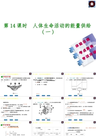 【中考复习方案】（云南）2015中考生物总复习 第14课时 人体生命活动的能量供给一课件（体验云南+考点聚焦+专项突破）