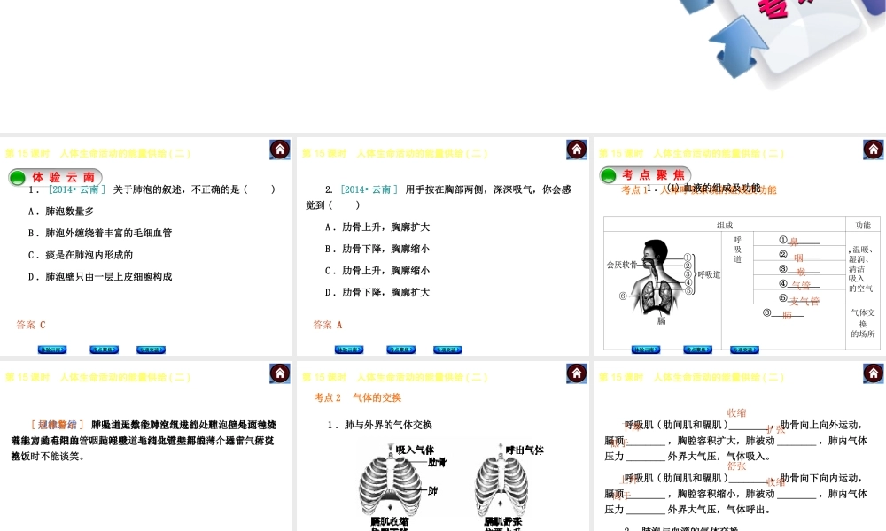 【中考复习方案】（云南）2015中考生物总复习 第15课时 人体生命活动的能量供给二课件（体验云南+考点聚焦+专项突破）