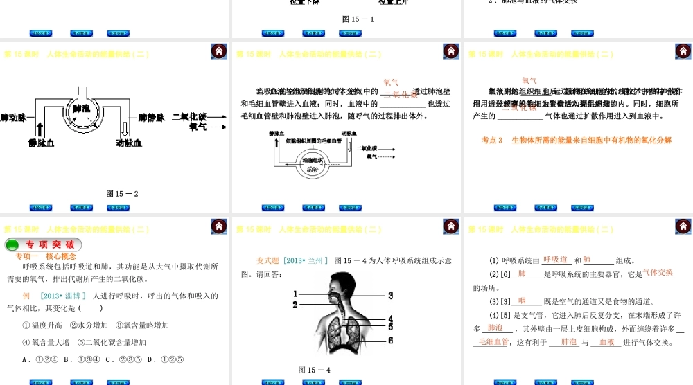 【中考复习方案】（云南）2015中考生物总复习 第15课时 人体生命活动的能量供给二课件（体验云南+考点聚焦+专项突破）