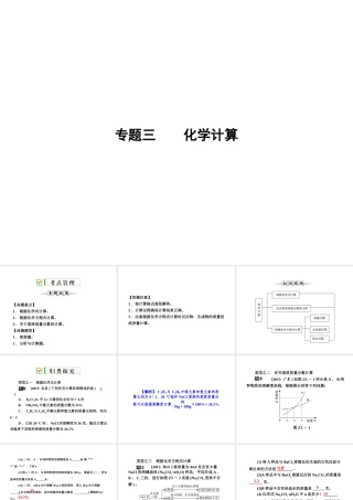 【全效学习 中考学练测】2014中考科学总复习 专题精讲三 化学计算（考点管理+归类探究+限时集训）课件 新人教版