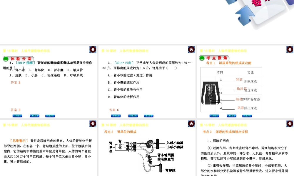 【中考复习方案】（云南）2015中考生物总复习 第16课时 人体代谢废物的排出课件（体验云南+考点聚焦+专项突破）