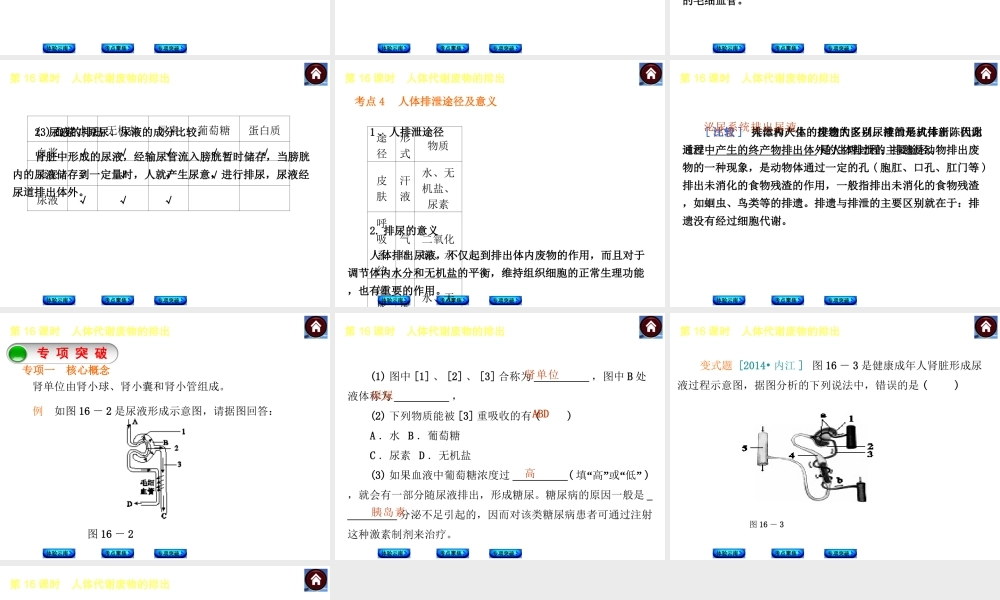 【中考复习方案】（云南）2015中考生物总复习 第16课时 人体代谢废物的排出课件（体验云南+考点聚焦+专项突破）