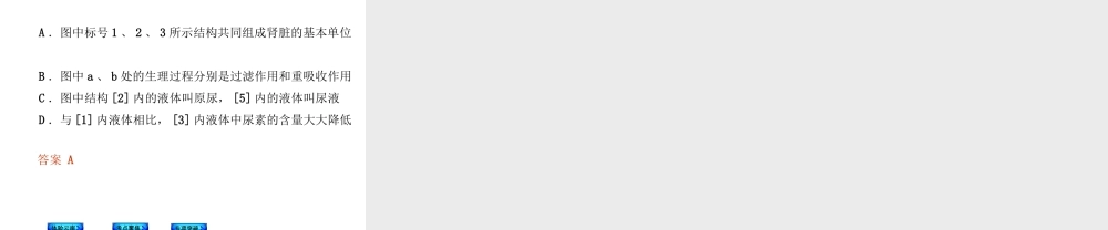 【中考复习方案】（云南）2015中考生物总复习 第16课时 人体代谢废物的排出课件（体验云南+考点聚焦+专项突破）