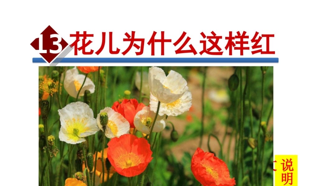 2018学年度八年级语文下册 第三单元 13 花儿为什么这样红课件 苏教版