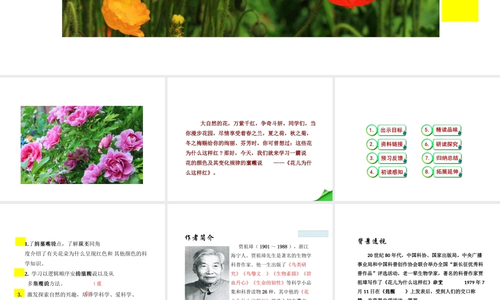 2018学年度八年级语文下册 第三单元 13 花儿为什么这样红课件 苏教版