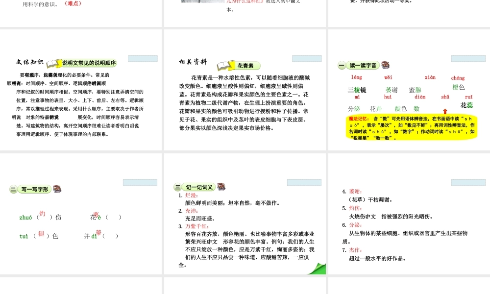 2018学年度八年级语文下册 第三单元 13 花儿为什么这样红课件 苏教版