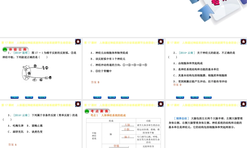【中考复习方案】（云南）2015中考生物总复习 第17课时 人体通过神经系统和内分泌系统调节生命活动一课件（体验云南+考点聚焦+专项突破）