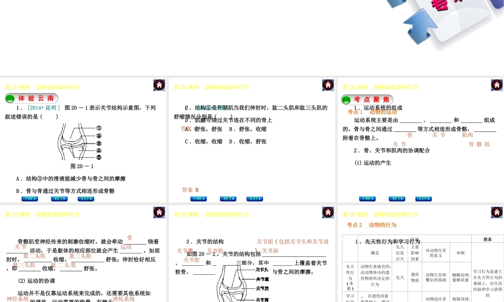 【中考复习方案】（云南）2015中考生物总复习 第20课时 动物的运动和行为课件（体验云南+考点聚焦+专项突破）