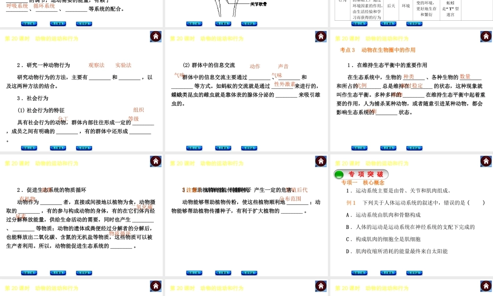【中考复习方案】（云南）2015中考生物总复习 第20课时 动物的运动和行为课件（体验云南+考点聚焦+专项突破）