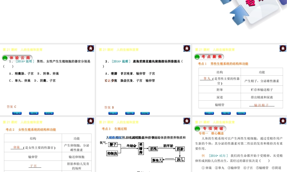 【中考复习方案】（云南）2015中考生物总复习 第21课时 人的生殖和发育课件（体验云南+考点聚焦+专项突破）