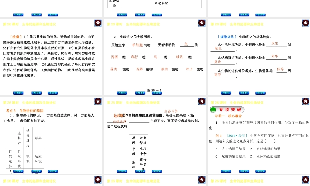 【中考复习方案】（云南）2015中考生物总复习 第26课时 生命的起源和生物进化课件（体验云南+考点聚焦+专项突破）