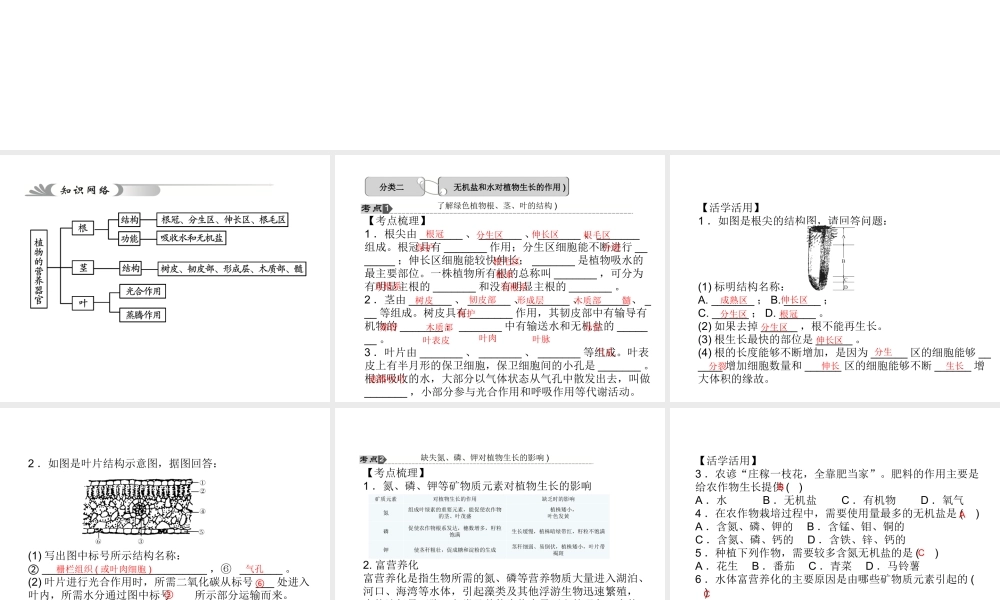 【中考试题研究】2015中考科学总复习 第5讲 绿色植物的新陈代谢（二）课件 浙教版