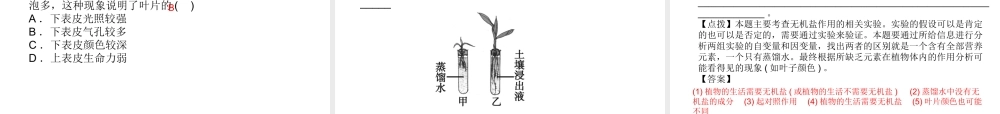 【中考试题研究】2015中考科学总复习 第5讲 绿色植物的新陈代谢（二）课件 浙教版