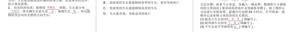 【中考试题研究】2015中考科学总复习 第7讲 生命活动的调节课件 浙教版