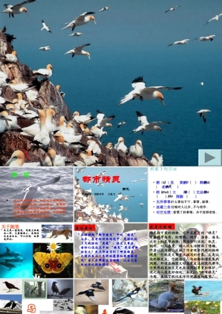 《都市精灵》演示文稿1