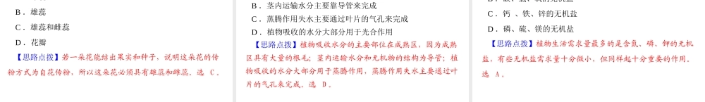 【中考风向标】2013年中考生物复习 被子植物的一生课件