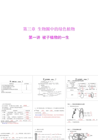 【中考风向标】2013年中考生物复习 被子植物的一生课件