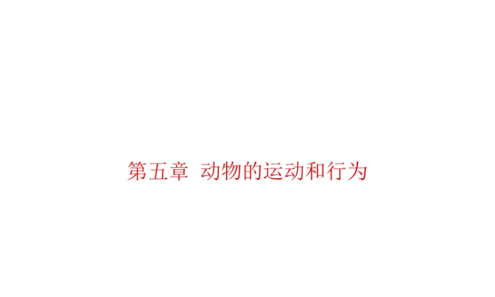 【中考风向标】2013年中考生物复习 动物的运动和行为课件