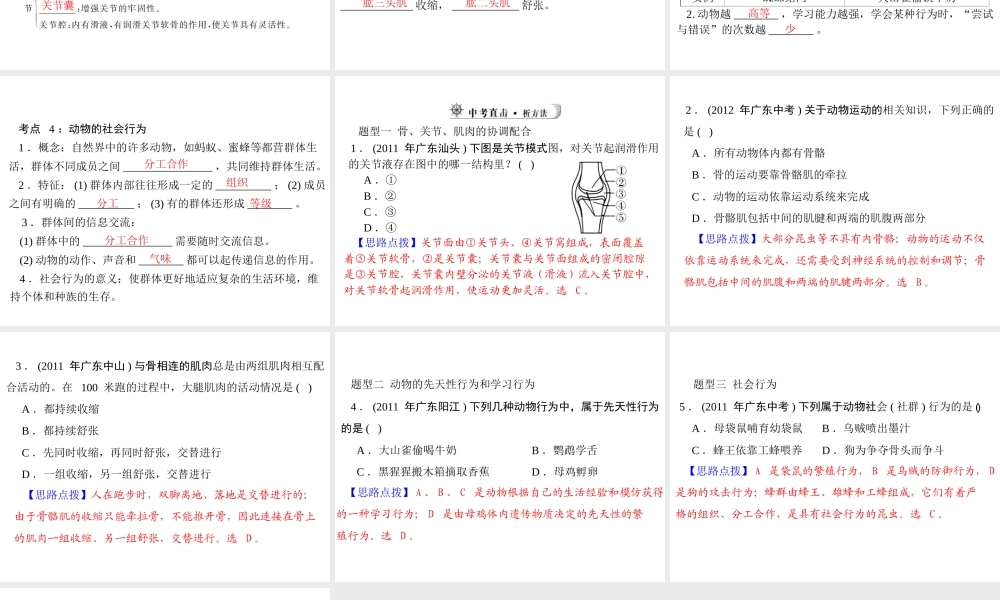 【中考风向标】2013年中考生物复习 动物的运动和行为课件