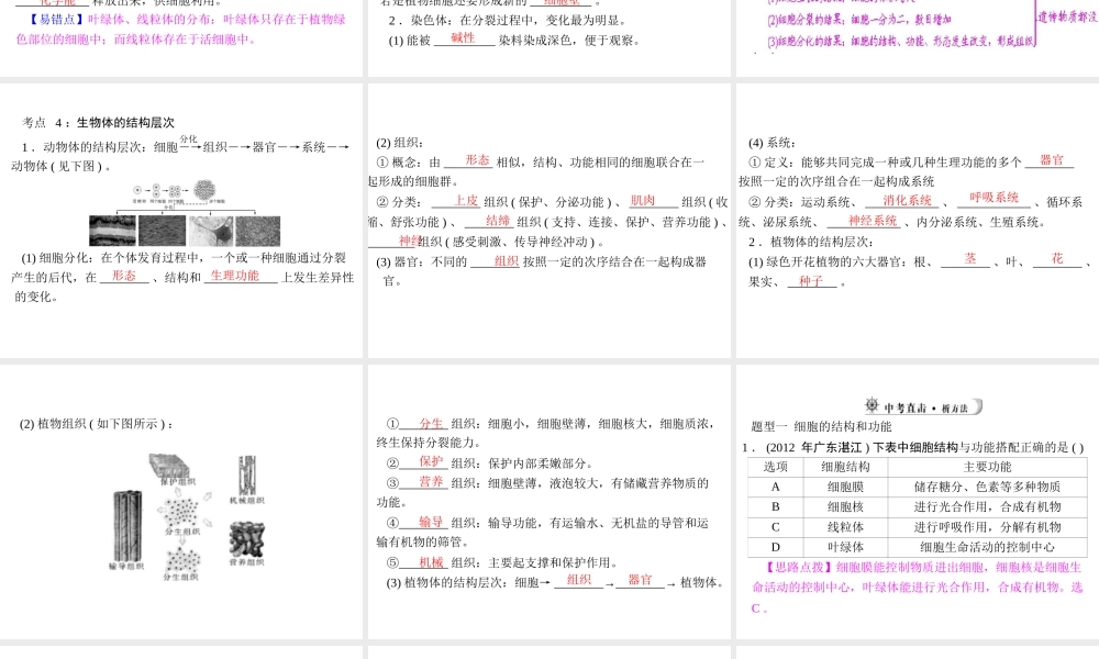 【中考风向标】2013年中考生物复习 动植物体的结构层次课件