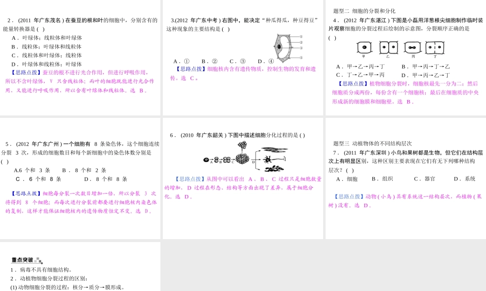 【中考风向标】2013年中考生物复习 动植物体的结构层次课件