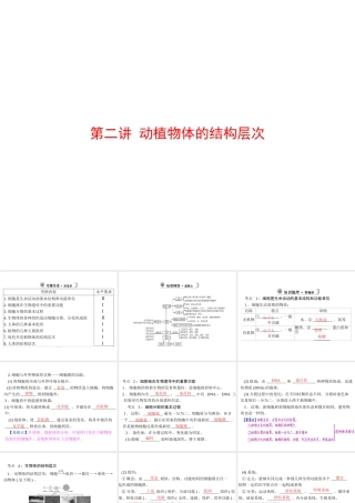 【中考风向标】2013年中考生物复习 动植物体的结构层次课件