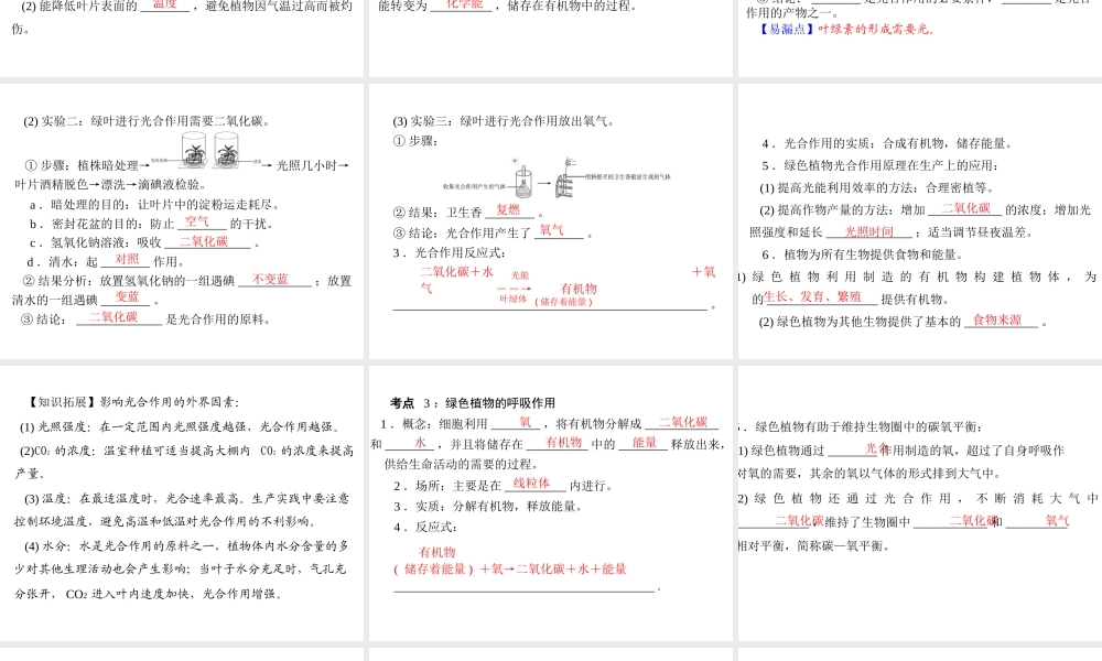 【中考风向标】2013年中考生物复习 绿色植物的作用课件