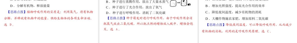 【中考风向标】2013年中考生物复习 绿色植物的作用课件