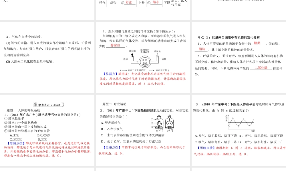 【中考风向标】2013年中考生物复习 人体的呼吸课件
