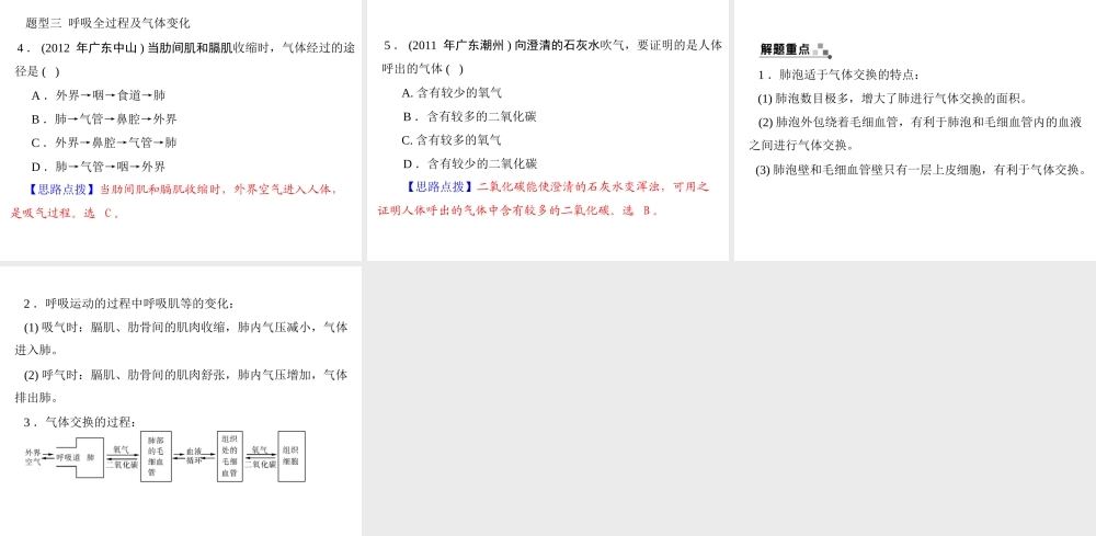 【中考风向标】2013年中考生物复习 人体的呼吸课件