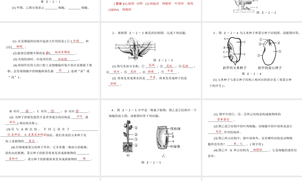 《金牌学案 风向标》广东省中考生物总复习 第二部分 专题二 识图题增分技巧课件 人教新课标版