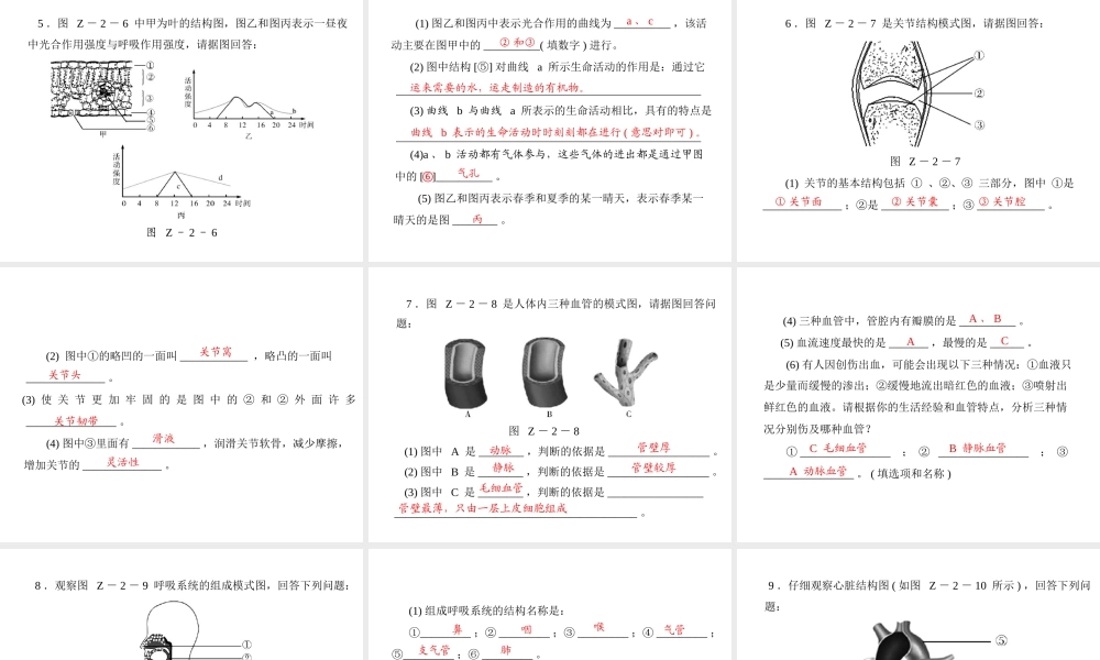 《金牌学案 风向标》广东省中考生物总复习 第二部分 专题二 识图题增分技巧课件 人教新课标版