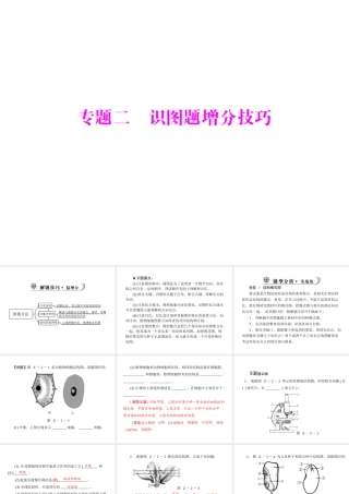 《金牌学案 风向标》广东省中考生物总复习 第二部分 专题二 识图题增分技巧课件 人教新课标版