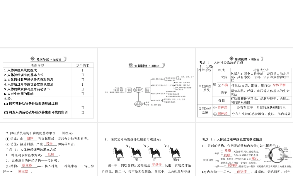 【中考风向标】2013年中考生物复习 人体的生命活动调节及人在生物圈中的作用课件