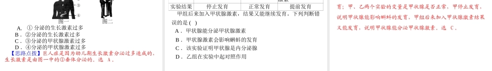 【中考风向标】2013年中考生物复习 人体的生命活动调节及人在生物圈中的作用课件