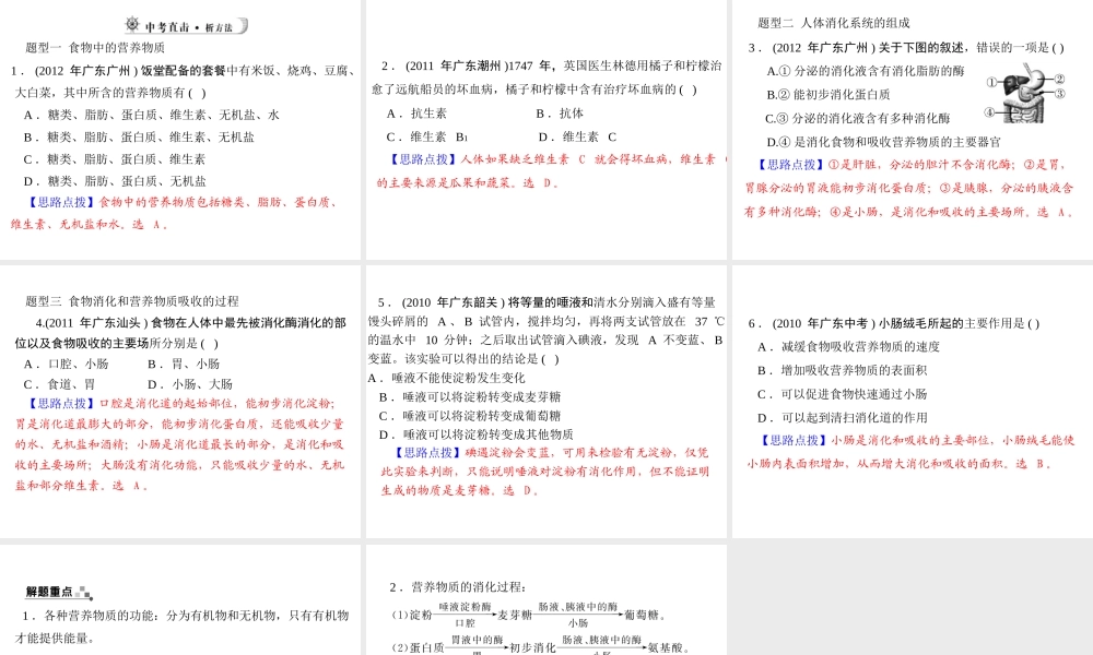 【中考风向标】2013年中考生物复习 人体的营养课件